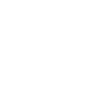 audi.png